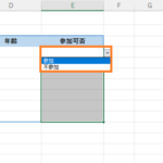 エクセルのプルダウン③選択肢が２択～3択など少ない場合の方法！